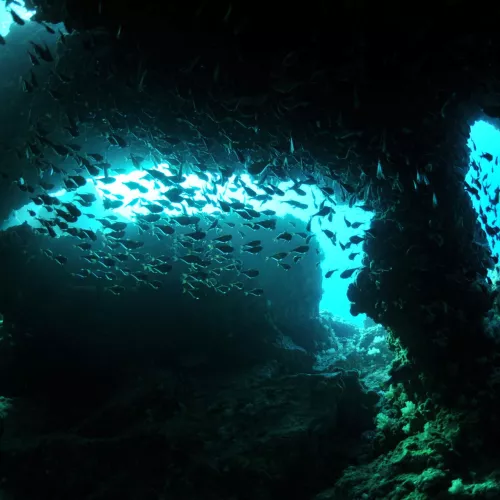 Croisière en Mer d&amp;#039;Andaman (22 plongées) Visuel